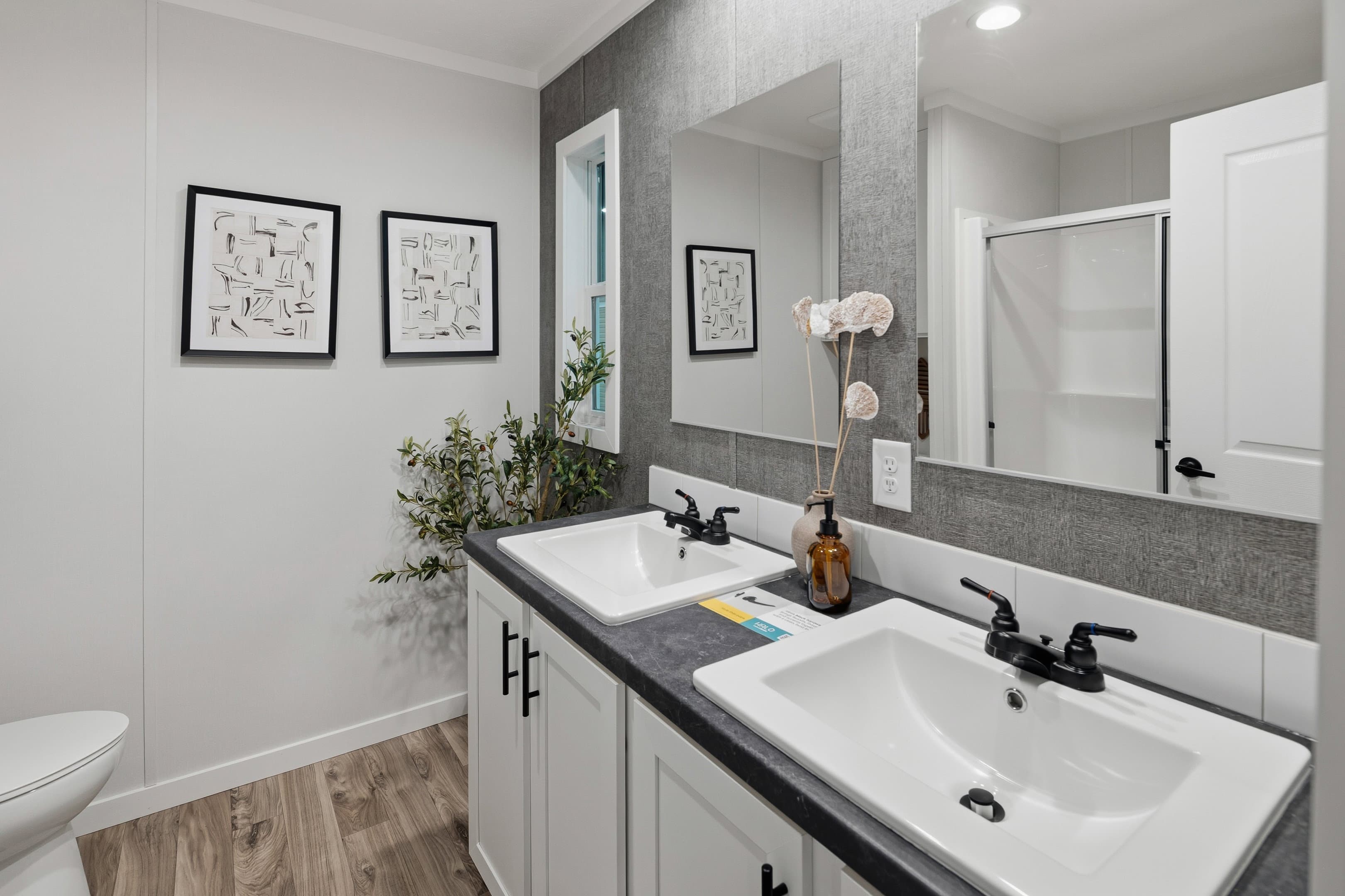 Vista  home features