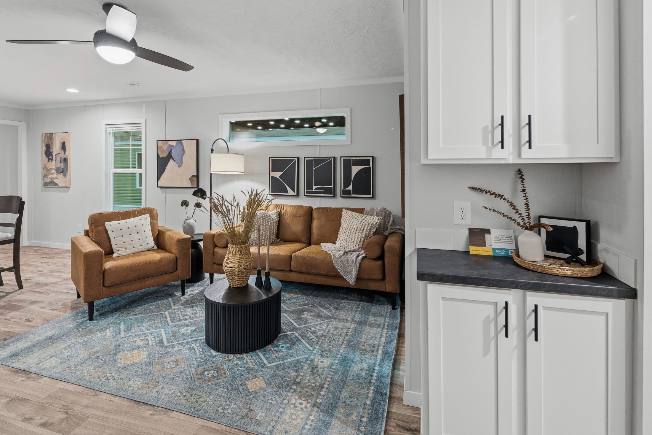 Vista  home features