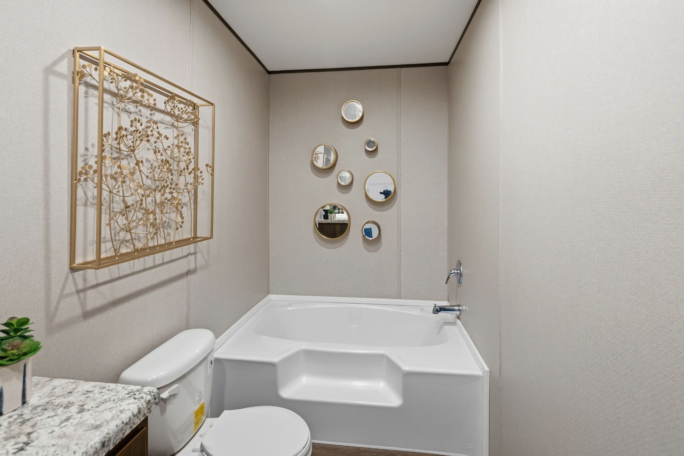 Aspen  home features